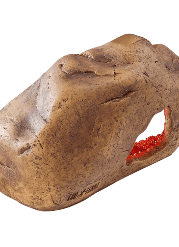 Exo Terra Crystal Cave Medium