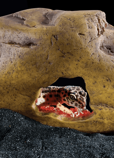 Exo Terra Crystal Cave Medium