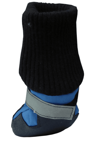 Hdp Dog Boots Blue Set of 4 Medium