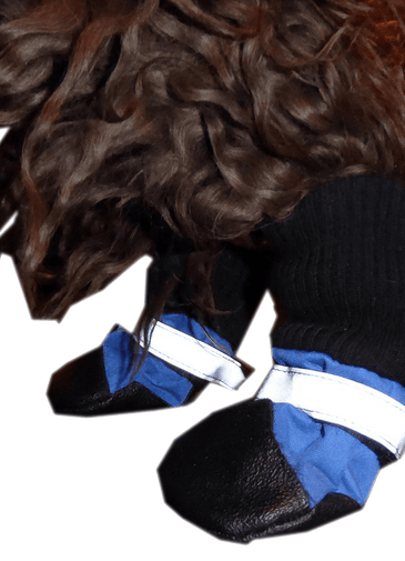 Hdp Dog Boots Blue Set of 4 Medium
