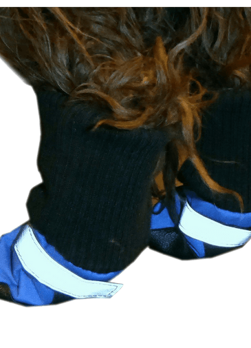 Hdp Dog Boots Blue Set of 4 Medium