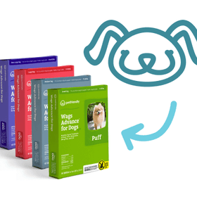 Wags For Your All Pets