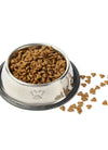 Qpey Pet Food Bowl Stainless Steel