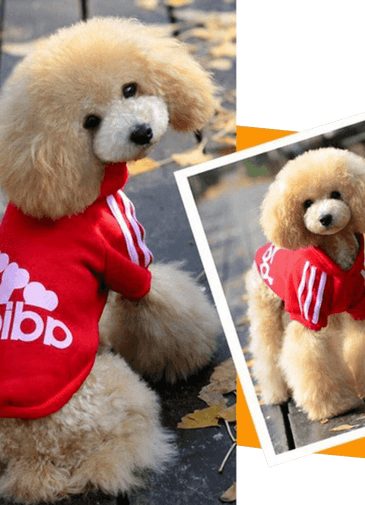 Zehui Pet Dog Cat Sweater Puppy T Shirt Warm Hoodies Coat Clothes Apparel Black S